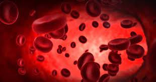 Decoding the Meaning of “FS”: Unveiling the Multifaceted World of File Systems