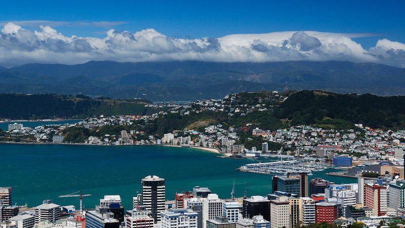 Zelissamu: Origins, Benefits, and Potential