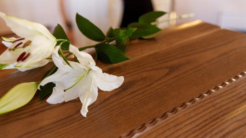 Hannah Hayden Obituary Massena ny