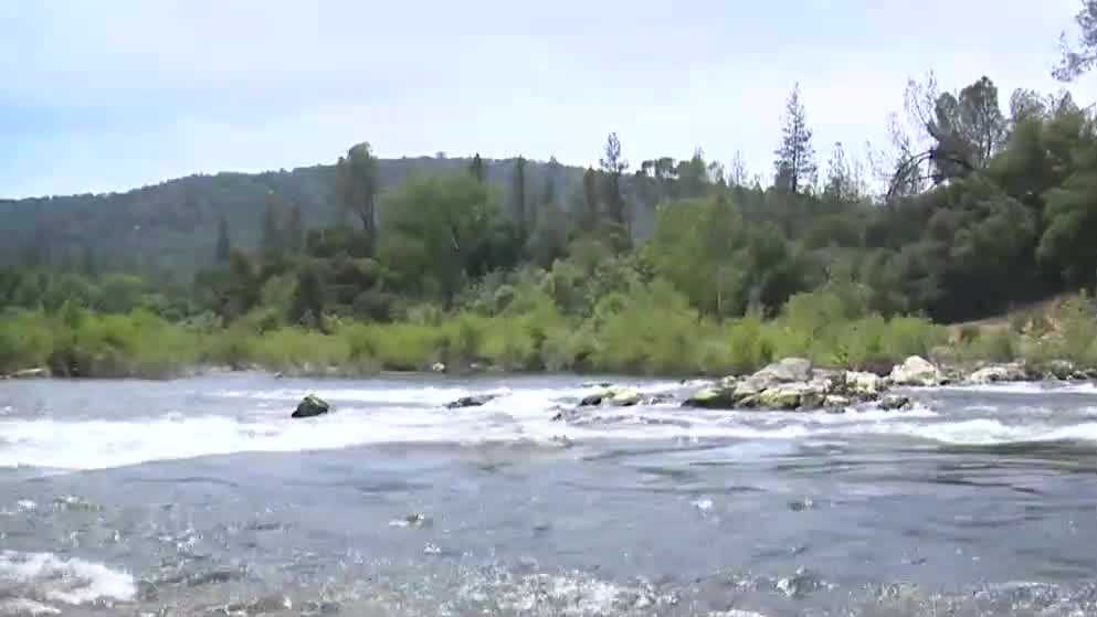 Sassafras River Drowning 2023 Edu Gov Press Publishers